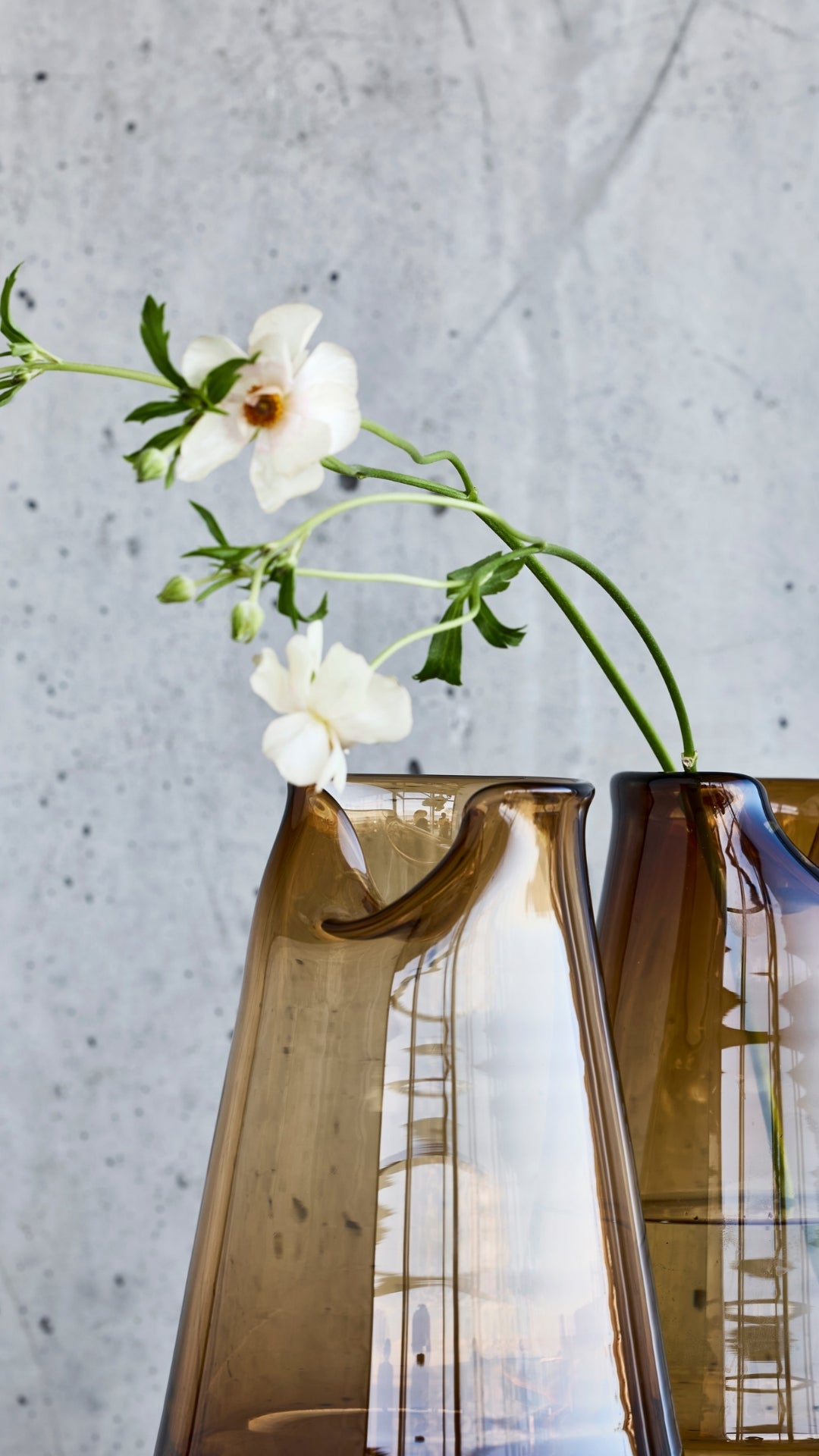 Organic Drop - Annette von Einem x Hove Home