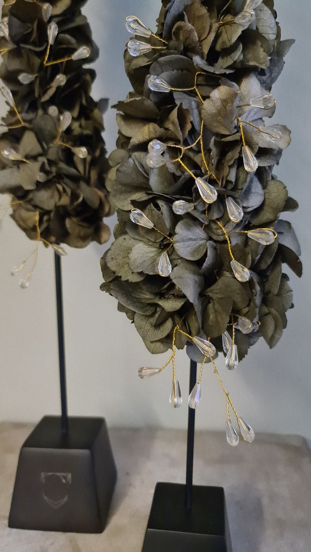 Hortensia træ
