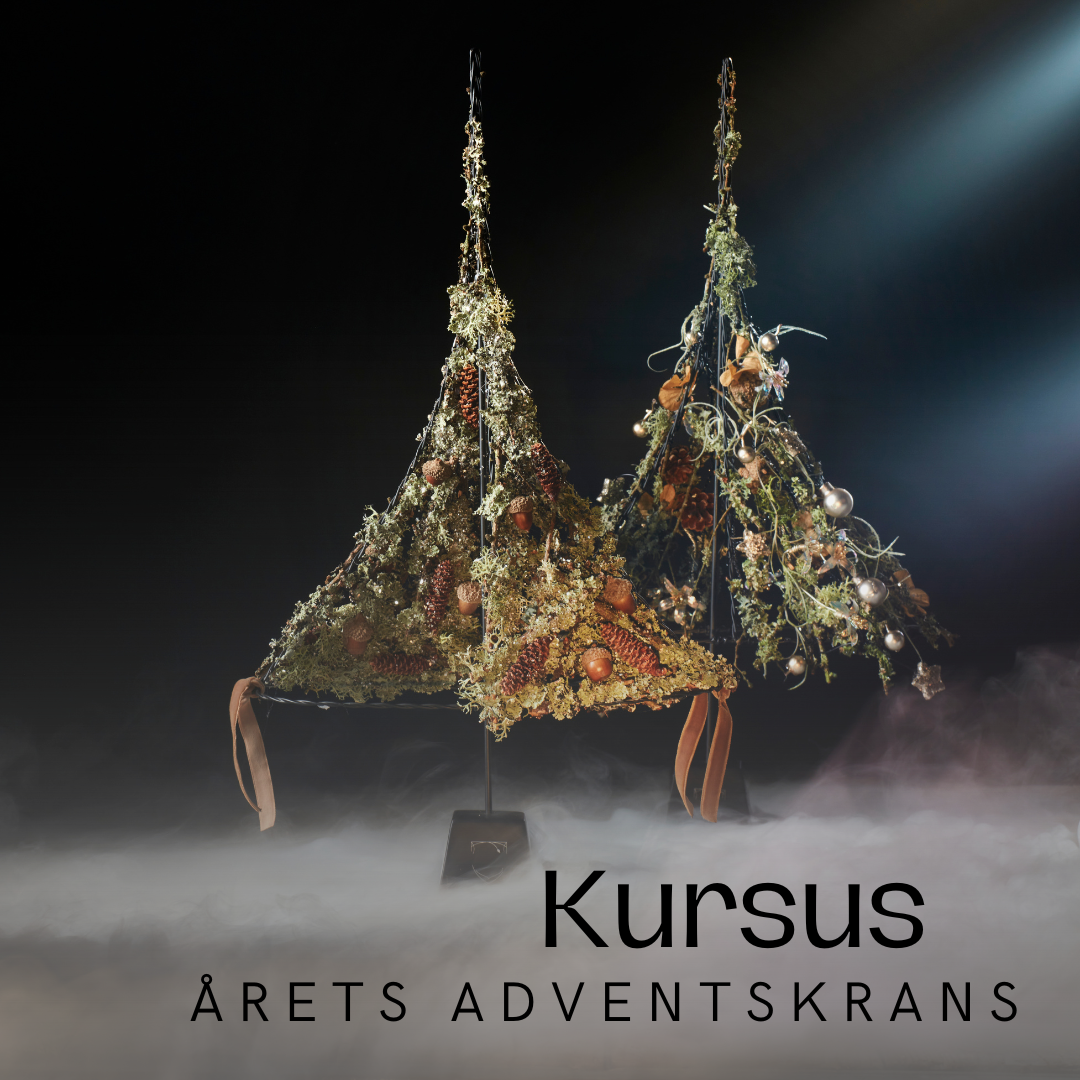 Årets Adventskrans - Fortet: Man. 17. nov
