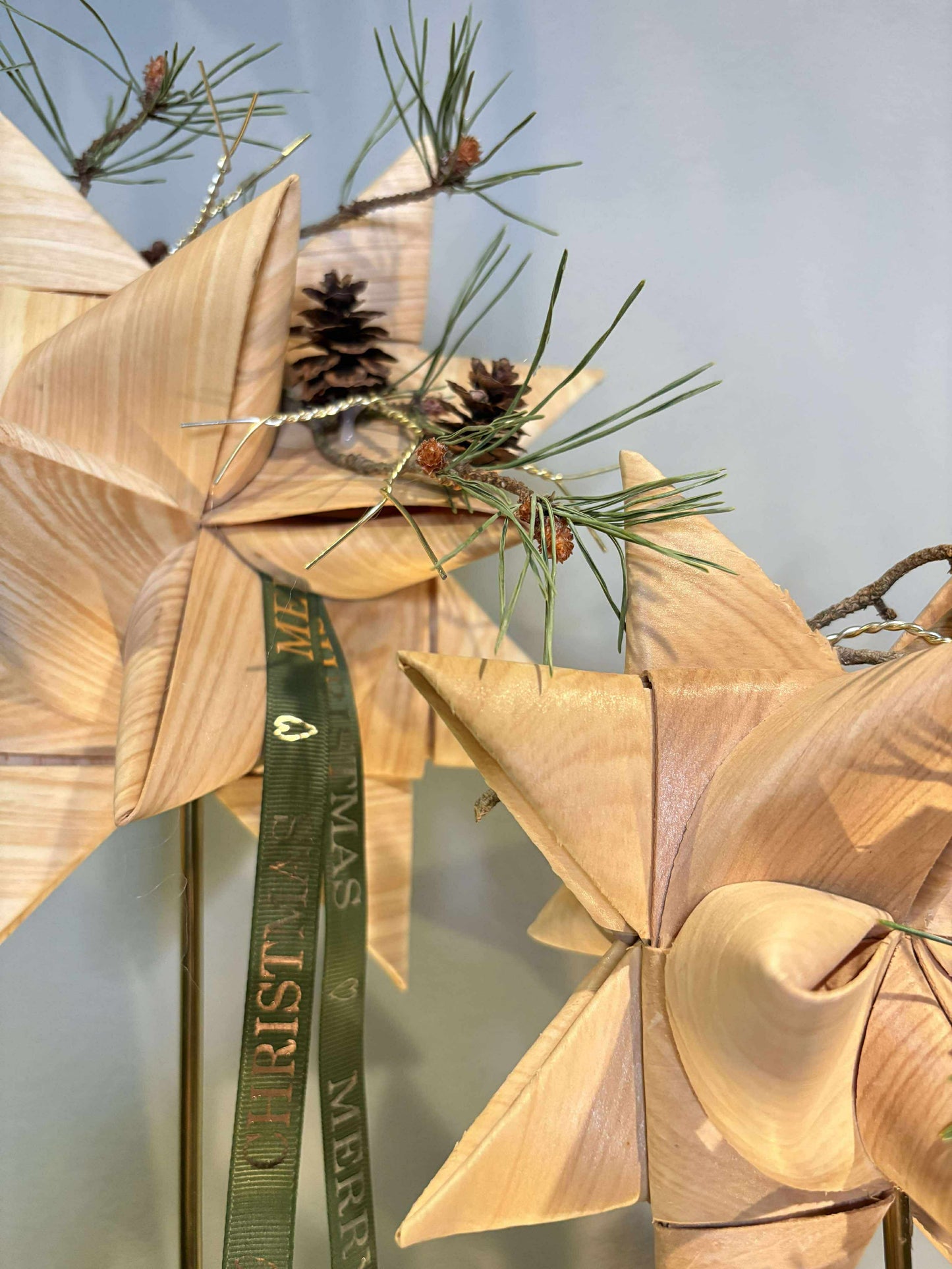 Natur stjerner / udsolgt