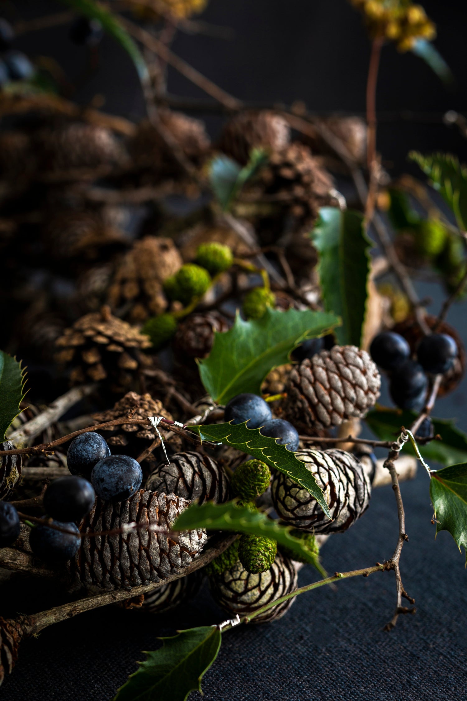 Naturens Guld - Julekollektionen 2025