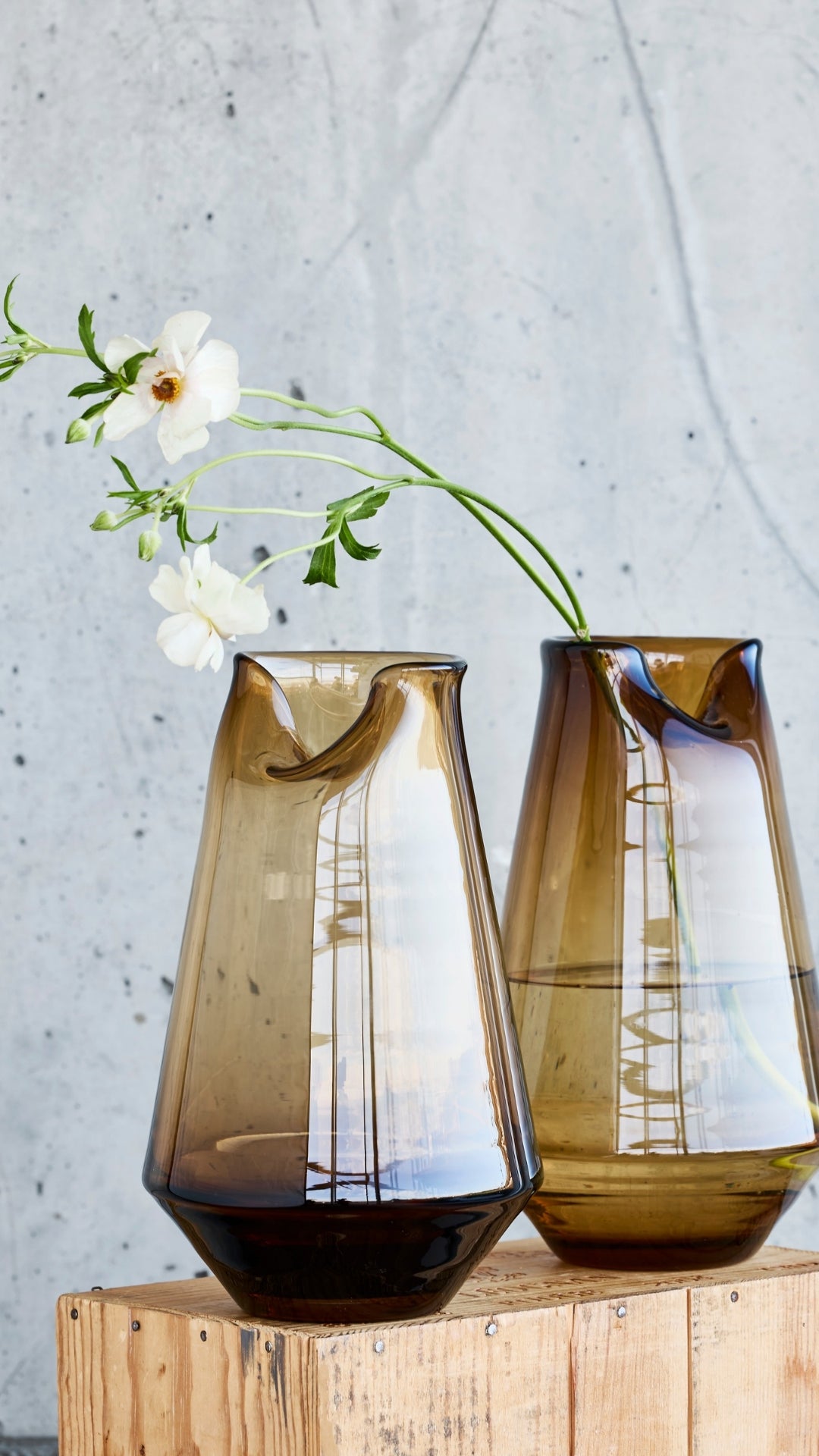 Organic Drop - Annette von Einem x Hove Home