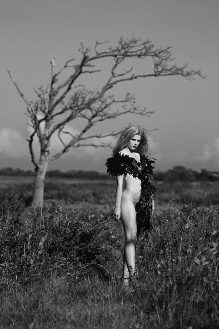 BARE FLOWERS
