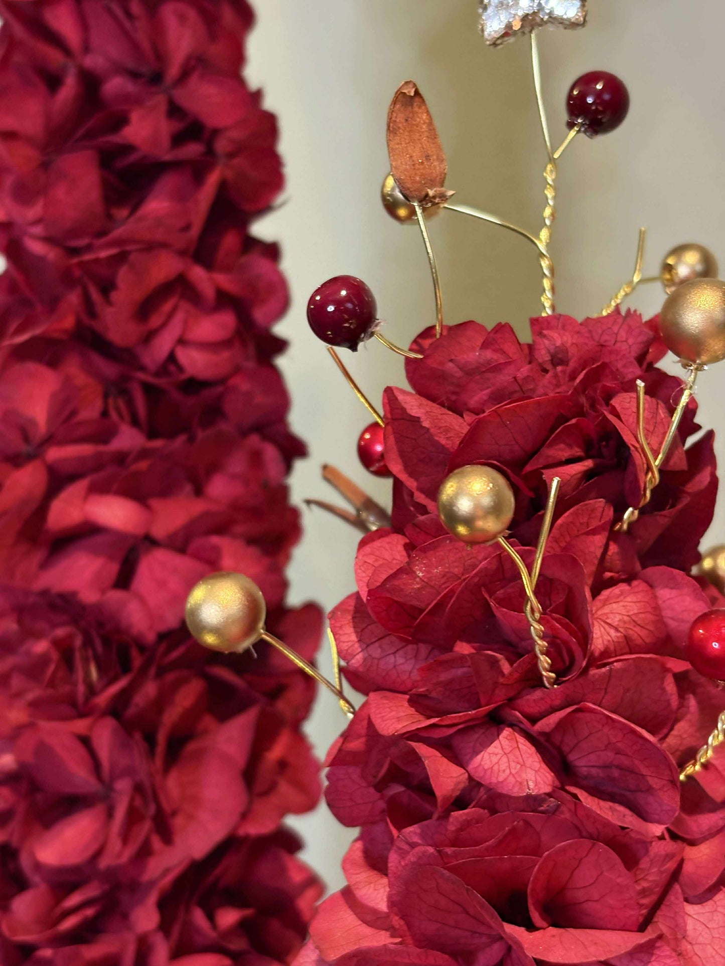 Hortensia juletræ / Udsolgt