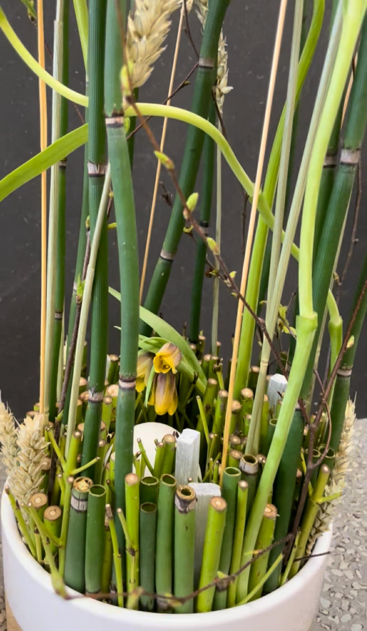 Fantastiske Forårsdekorationer. 20. april - Charlottenlund