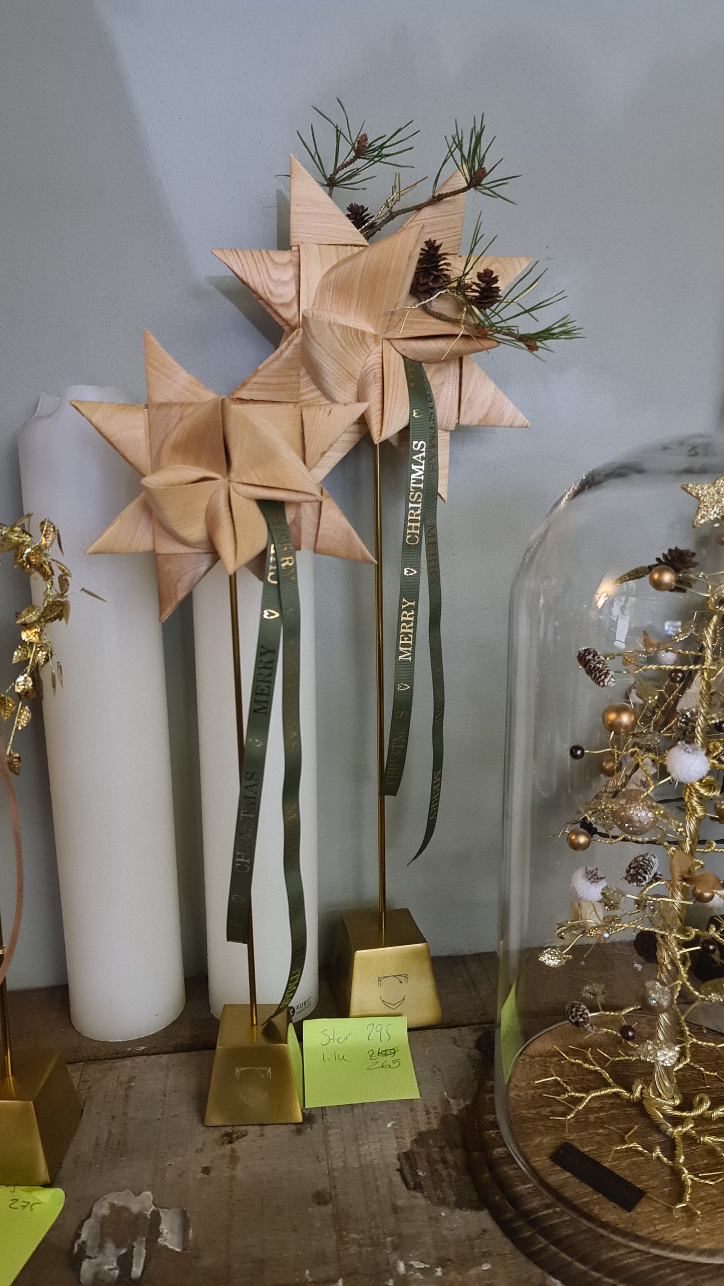 Natur stjerner / udsolgt